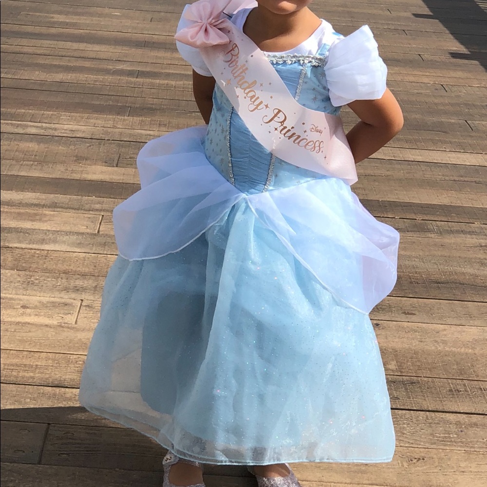 Authentic Disney Cinderella gown - Picture 2 of 8